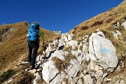 33 In vista della Croce di Zorzone e del Bivacco MAGA